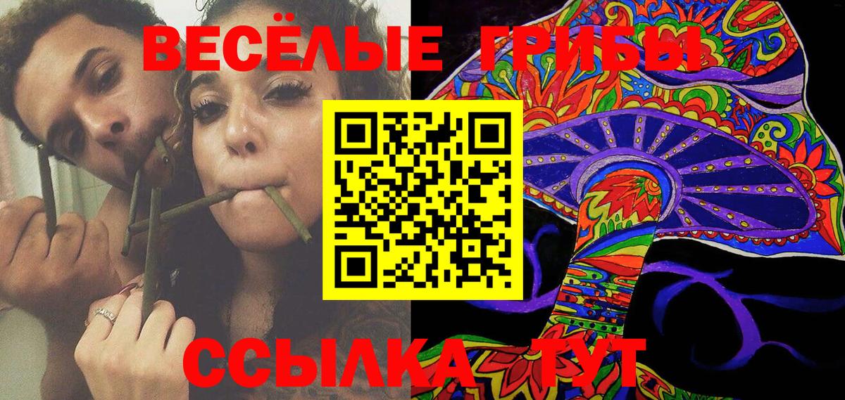 Галлюциногенные грибы Magic Shrooms Тула